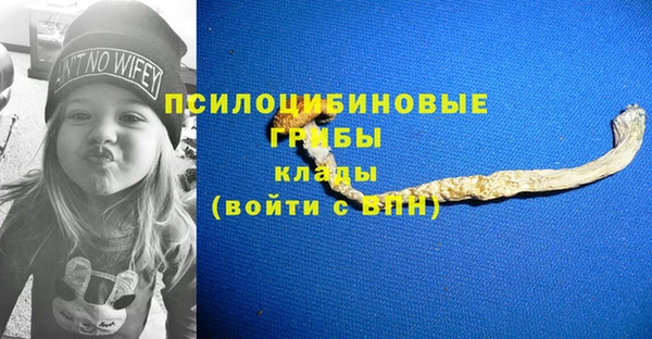 винт Алексеевка