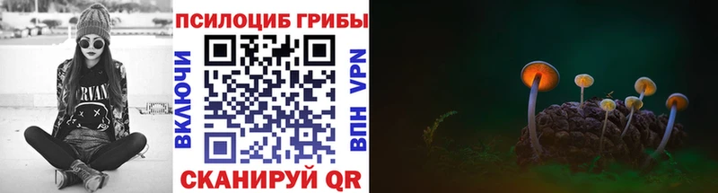 наркошоп  Дрезна  Галлюциногенные грибы Psilocybe 